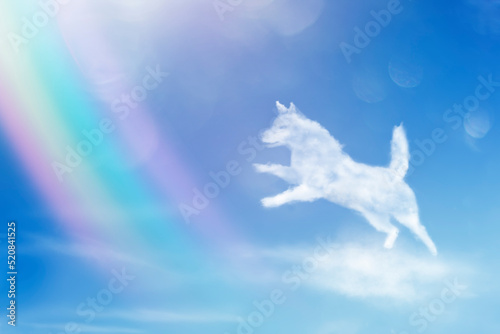 Angel dog walking on the rainbow. Dog clouds shape.