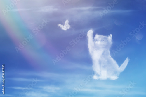Angel cat walking on the rainbow. Cat clouds shape. Cat catches a butterfly