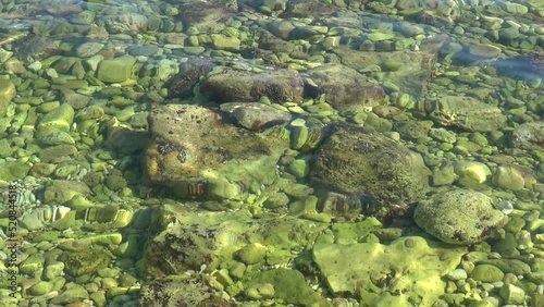 Kas, Turkey - 3nd of July 2022: 4K Artistic kid in crystal clean waters
 photo