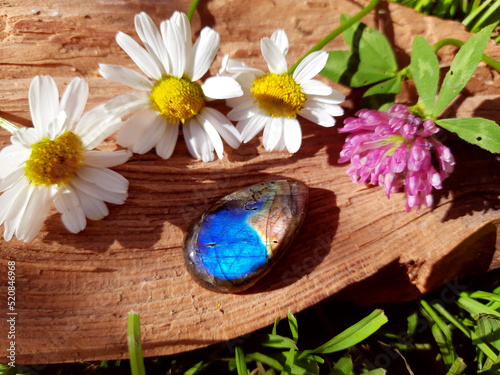 Labradorite mineral stone with flowers on a wooden background, gemstone for healing, meditation, ritual, reiki, spiritual practice, altar, witchcraft.