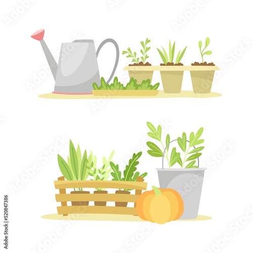 Gardening with Bucket, Pumpkin, Seedling in Pots and Watering Can as Plant Cultivation and Agriculture Vector Set