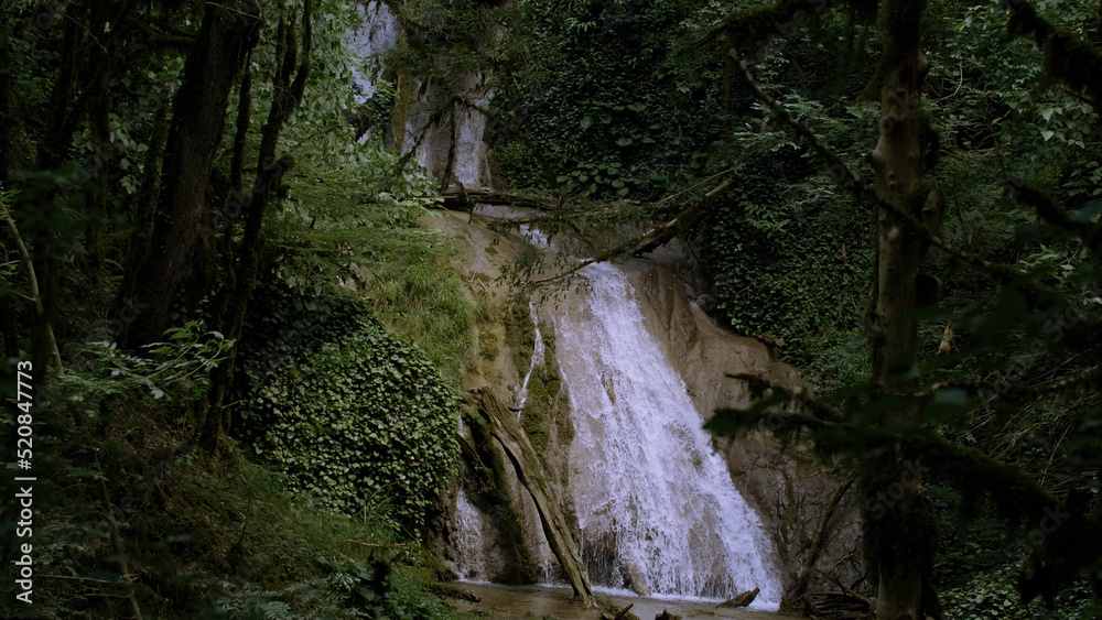 Jungles with green trees and a waterfall on a summer day. Creative. Beautiful waterfall in dense forest.