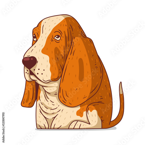 A Basset Hound, isolated vector illustration. Cute cartoon picture for children of a kind calm dog. Drawn dog sticker. Simple drawing of calm genial Basset on white background. A pet. A puppy.