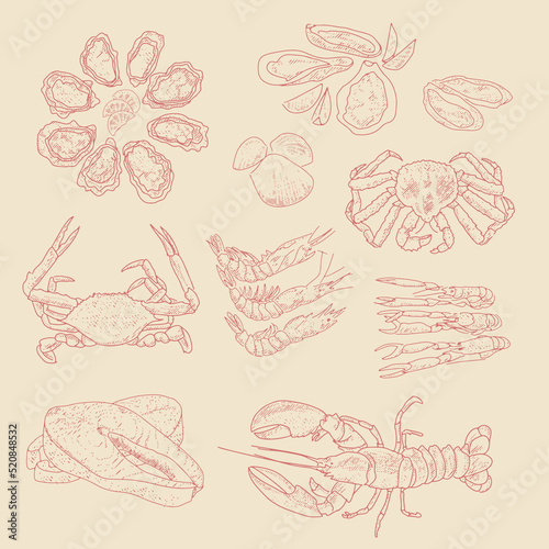 Vector vintage sketch seafood, hand drawn seafood delicacy, restaurant and marine cuisine cafe menu, packaging design.