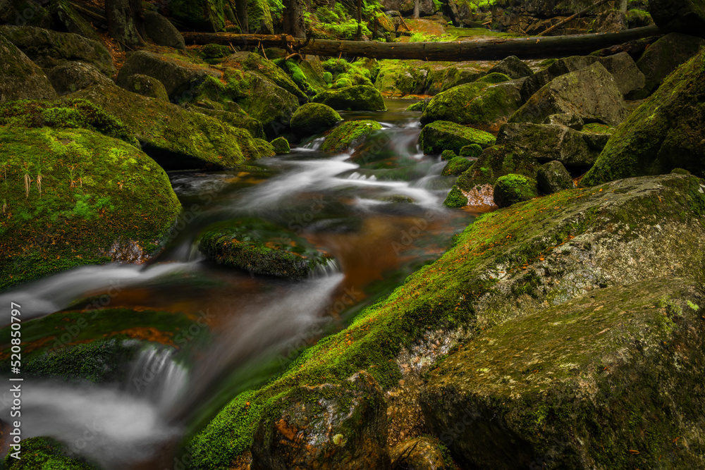 Obraz premium Jedlova creek in Jizerske mountains in spring morning