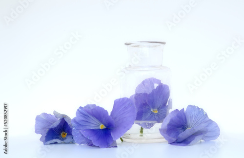Blue violets with old antique glass pot