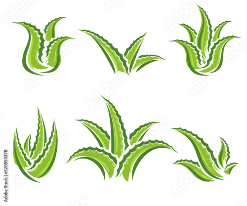 Aloe Vera set. Collection icon Aloe Vera. Vector