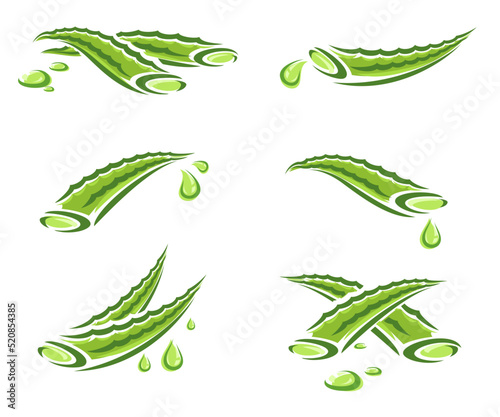 Aloe Vera set. Collection icon Aloe Vera. Vector
