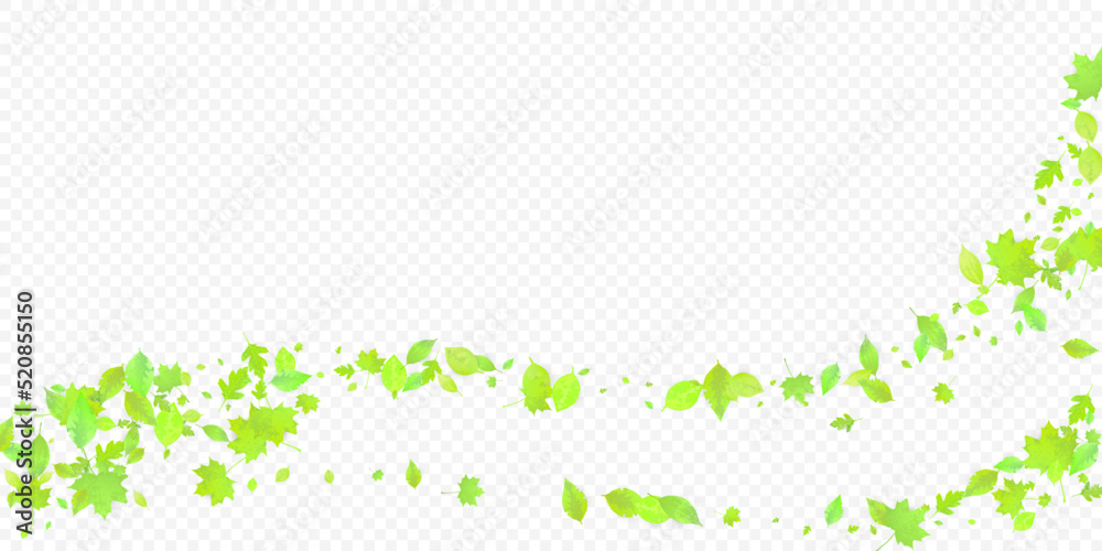 Leaves Falling Spring Flying Foliage Green Leaf Leaves Falling Spring Flying Foliage Green Leaf
