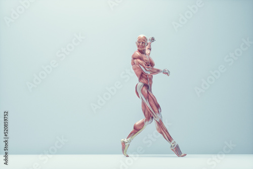 Photo Male muscular system posing on background