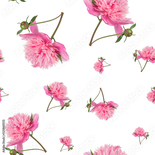 Seamless pattern of pink peonies.