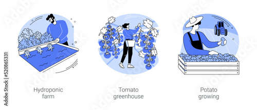 Vegetable industry isolated cartoon vector illustrations se