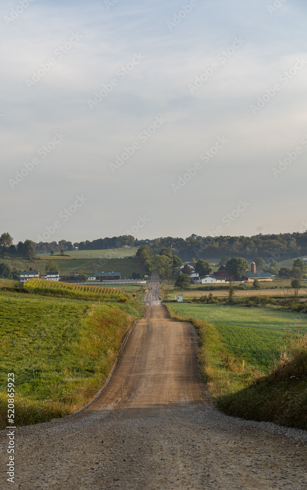 Straight dirt road cutting through the hilly fields of Ohio's Amish country | Back road in rural America