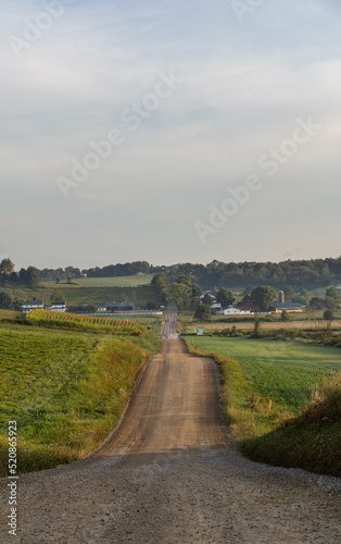 Straight dirt road cutting through the hilly fields of Ohio's Amish country | Back road in rural America