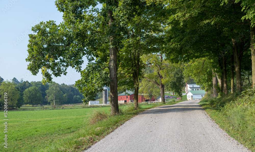 Country road through the trees leading to an Amish farm in Holmes County, Ohio Country road through the trees leading to an Amish farm in Holmes County, Ohio