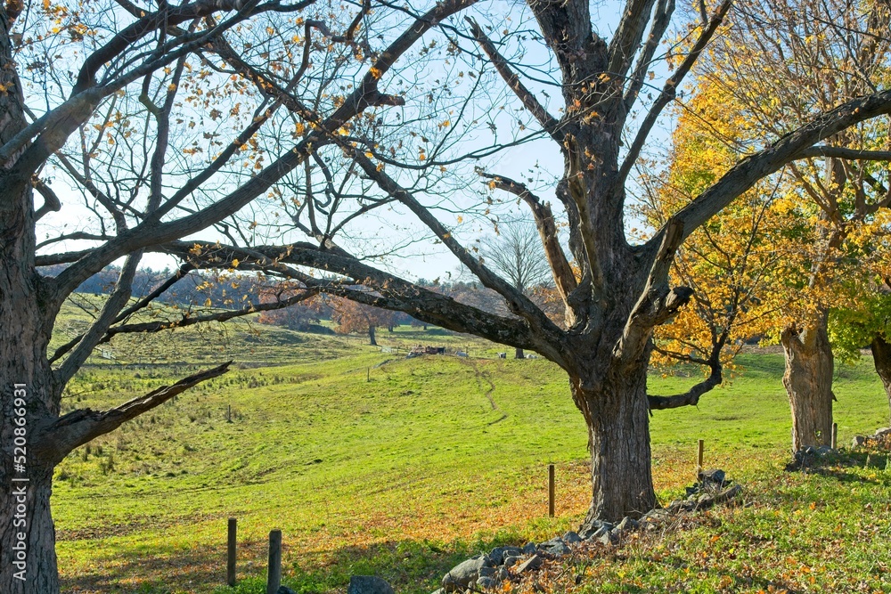 Appleton Farm in late autumn colors