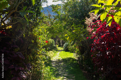 Corridor entrance in a rural house in the Peruvian Andes. Green corridor with stone path.