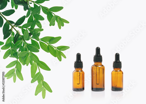 Fototapeta Naklejka Na Ścianę i Meble -  Natural medicine or aroma oil or beauty essence concept mockup three vials with dropper with droplet on glass stand with green plant and white background. Face and body spa serum care fresh concept