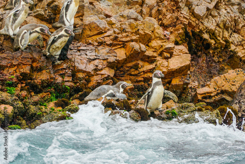 Amazing view of Ballestas islands, a national  reserve in Pisco Bay, PAracas, , Peru. where you can see many birds, sea lions and the Candelabro geoglyph  of Paracas Peninsula