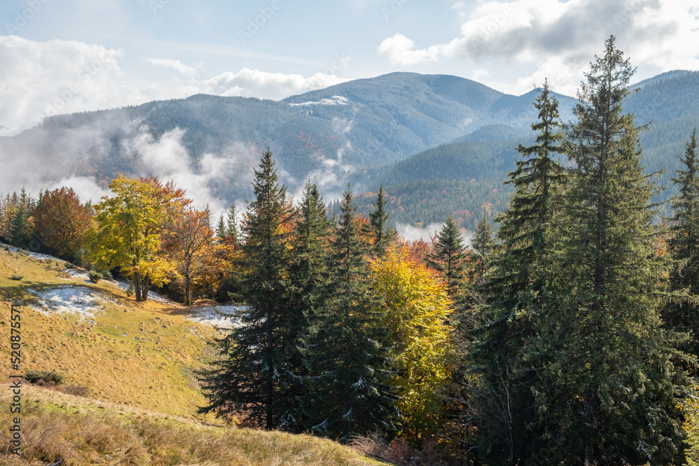 Epic autumn landscape with yellow trees in mountains with first snow. Beautiful nature in autumn Carpathians, Ukraine