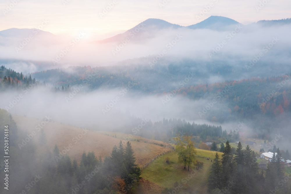 Misty morning in the Carpathian mountains in autumn. White fog over the dreamy mountain range, covered with green forest