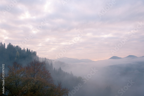 Misty morning in the Carpathian mountains in autumn. White fog over the dreamy mountain range  covered with green forest