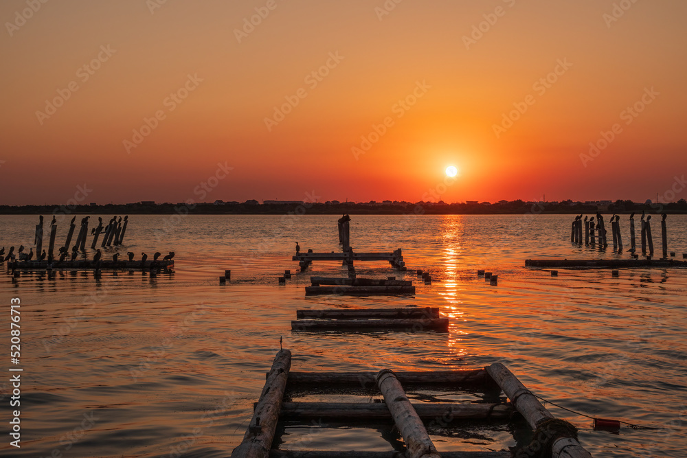 Fototapeta premium Beautiful red and orange sunset over the sea. The sun goes down over the sea. A flock of cormorants sits on a old sea pier in orange sunset light