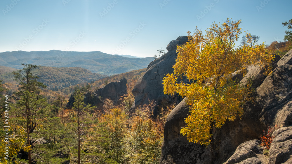 Unique nature landscape with ancient crags in Ukraine. Pine trees and birches with golden leaves growing on a crags in autumn
