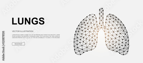 Lungs 3d low poly symbol for landing page template. Respiratory system design illustration. Polygonal Organ illustration for homepage design, adv page