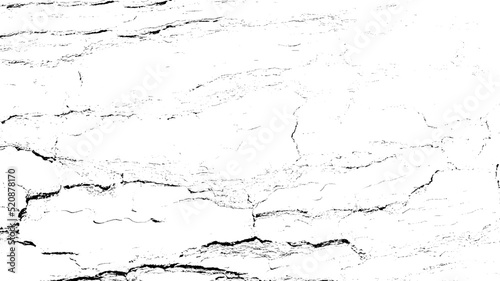 Black white texture of rugged relief fractured bark wood of aged cork oak. Old rough grunge of uneven ridged hard dry crust surface. Deep cut grooved coated layer, convex ornate textured rustic design