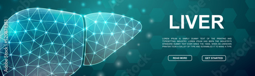 Liver 3d low poly symbol for head promotion banner. Hepatitis design illustration concept. Horizontal polygonal Organ poster illustration