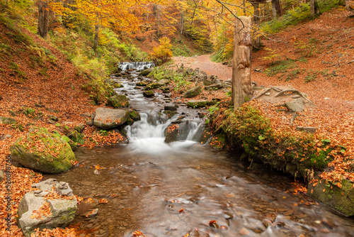Beautiful waterfall with trees, red leaves, rocks and stones in autumn forest