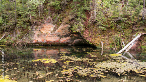 Mirror cliffs and an old river channel in a very beautiful forest in Cirulu nature trails  Latvia.