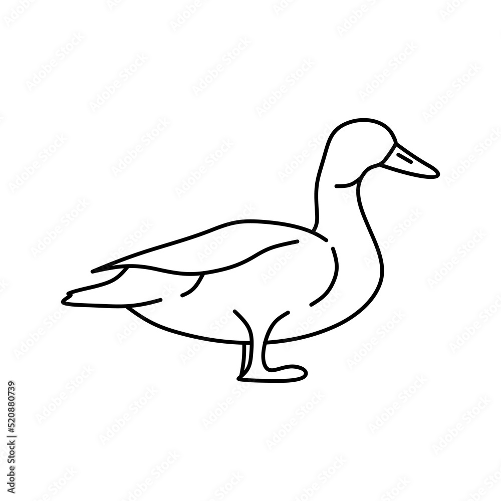 Duck vector doodle illustration.
Hand drawn cute mallard for farm logo identity. Waterfowl mascot concept for livestock icon. Line design modern vector graphic illustration Duck vector doodle illustration.
Hand drawn cute mallard for farm logo identity. Waterfowl mascot concept for livestock icon. Line design modern vector graphic illustration