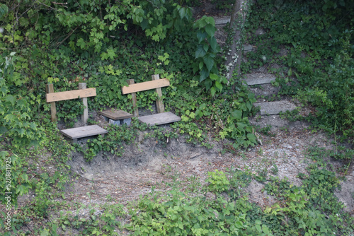 bench, chairs, picnic, snack, forest, break, garden