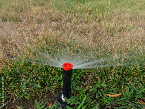 Close up of automatic sprinkler watering grass dying during drought