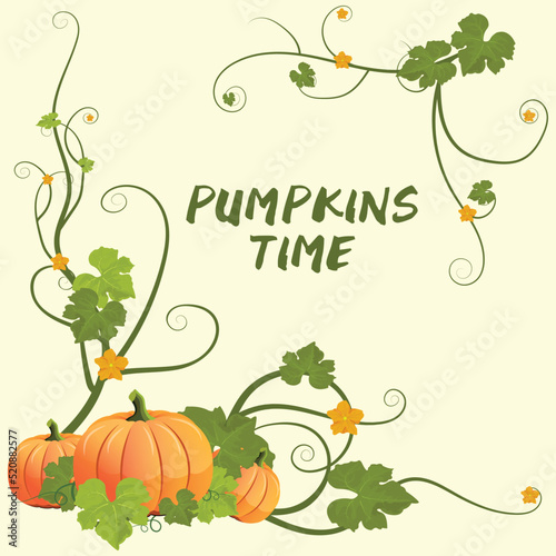 Pumpkin time vector. Pumpkin with vine border vector illustration 