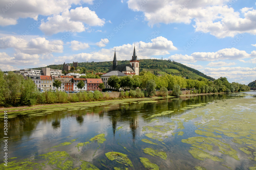 views from the town of Bingen am Rhein, Germany