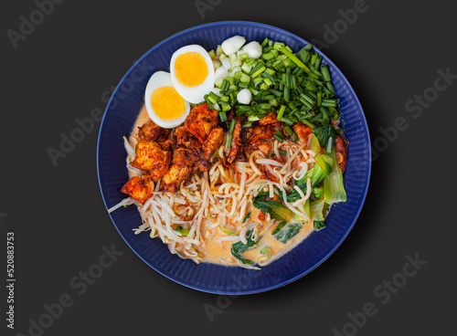 Japanese ramen soup with noodles, chicken, egg, chives, spring onion, bok choy and sprout. Top view seen from above on black background. photo