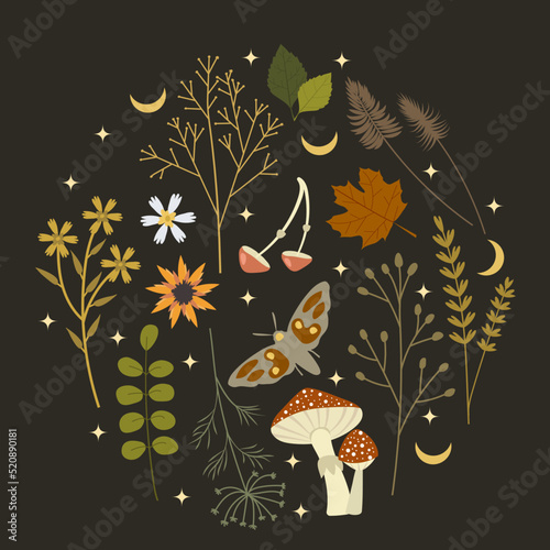 Botanical composition with autumn flowers, leaves, mushrooms, moon and a butterfly placed in circle on a dark background. Template for invitation, card, print for clothes. Vector illustration.