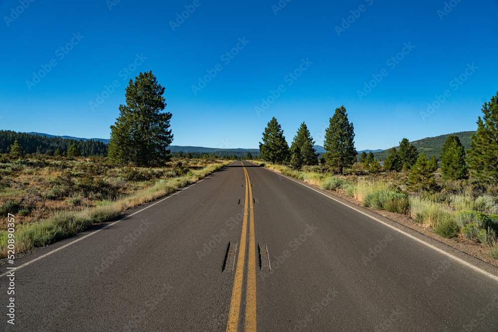 Northern California Wilderness Road