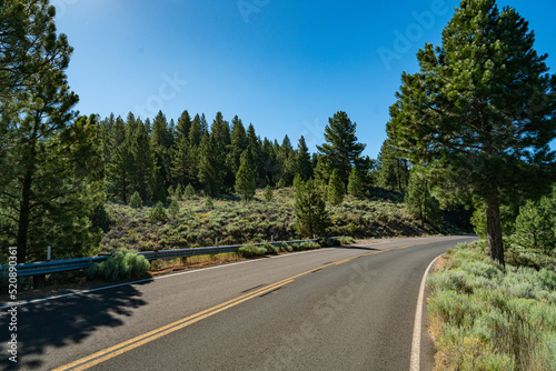 Bend in the Wilderness Road California