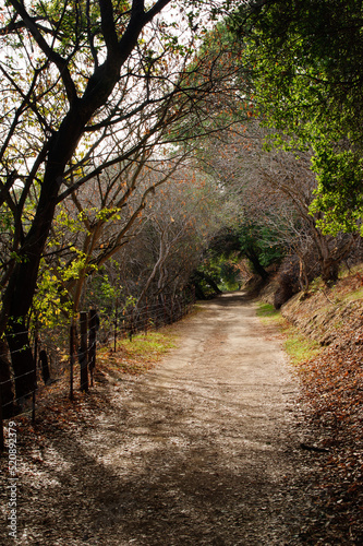 Path to Mount Wanda in Martinez California