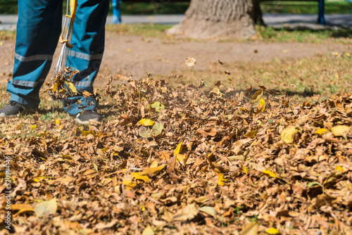 person sweeping fallen leaves from a square in autumn
