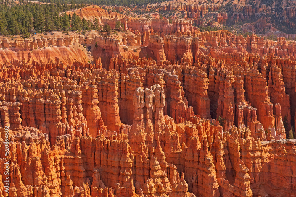 A Forest of Hoodoo in a Valley A Forest of Hoodoo in a Valley
