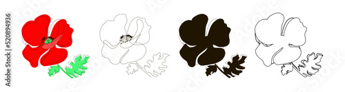 Set of four poppy illustrations in line, doodle, black silhouette, and outline styles. Flowering poppy with seeds. Summer Flower. Vector illustration, isolated on white background