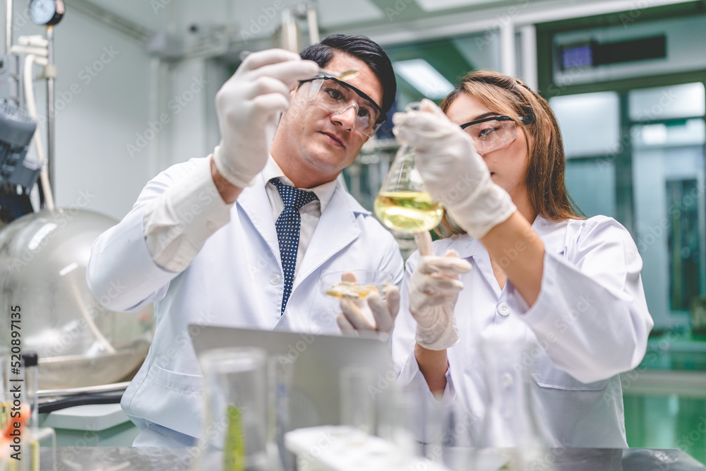 chemical medicine scientist working research for CBD oil from organic cannabis hemp plant in medical science laboratory, test a ganja nature herb to make a alternative herbal extract drug for health chemical medicine scientist working research for CBD oil from organic cannabis hemp plant in medical science laboratory, test a ganja nature herb to make a alternative herbal extract drug for health