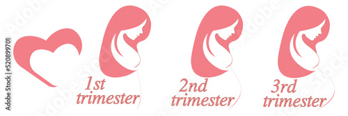 Trimesters. Process of pregnancy. Background