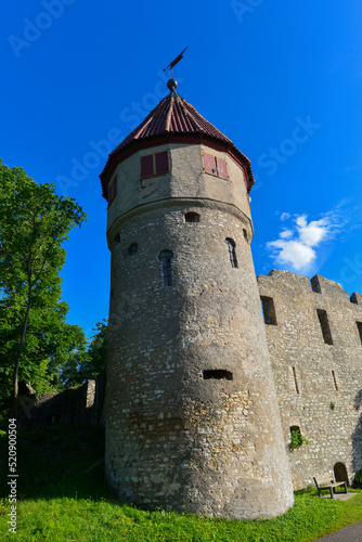 Burg Honberg, Ruine einer Gipfelburg in Tuttlingen, Baden-Württemberg 