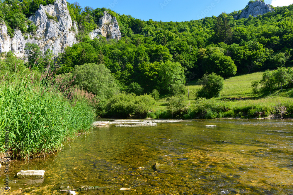 Naturpark Obere Donau bei Fridingen an der Donau Naturpark Obere Donau bei Fridingen an der Donau
